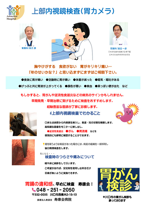 上部内視鏡検査（胃カメラ）
